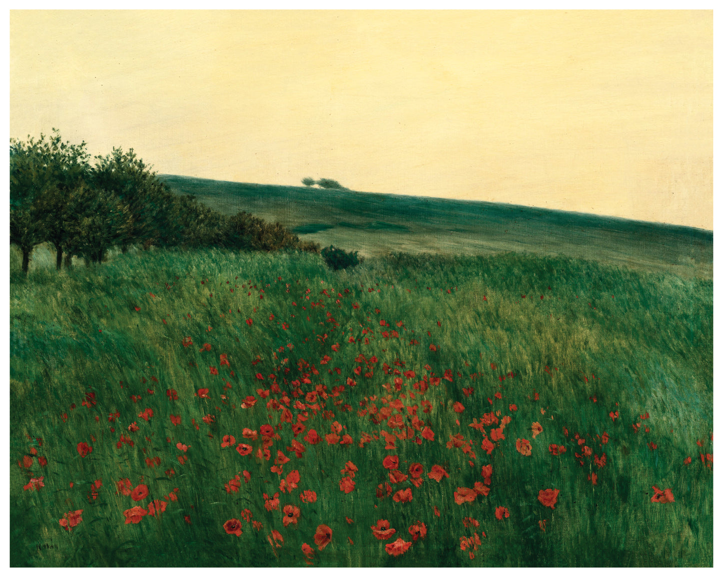 Red Poppies - František Kaván C. 1910 - Archival print